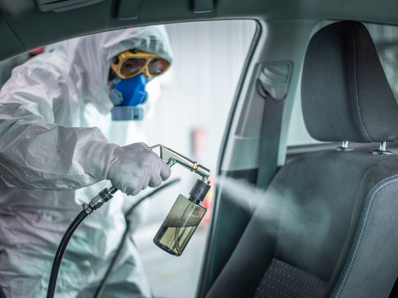 Surface Sanitizer + Antimicrobial Protectant