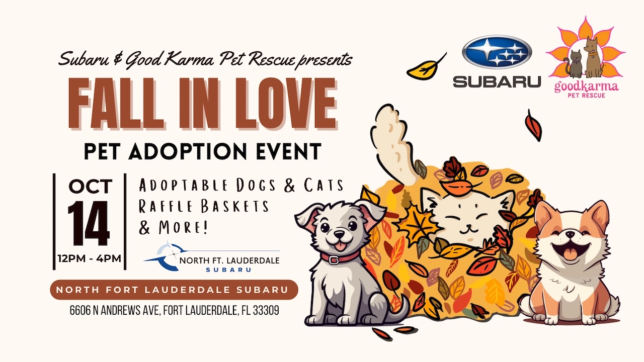 Pet adoption event at North Fort Lauderdale Subaru with adorable dogs and happy adopters